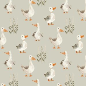 PMDucks1