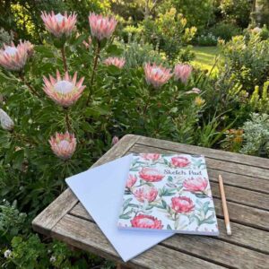 Sketch Pad - Proteas