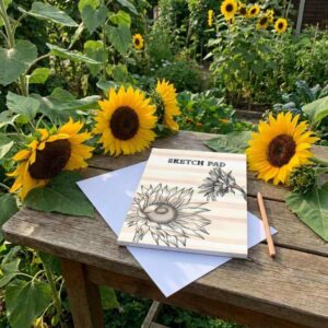 Sketch Pad - Sunflowers
