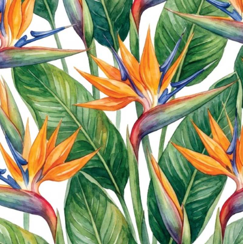 Placemats & Coasters Round - Strelitzias - Image 2